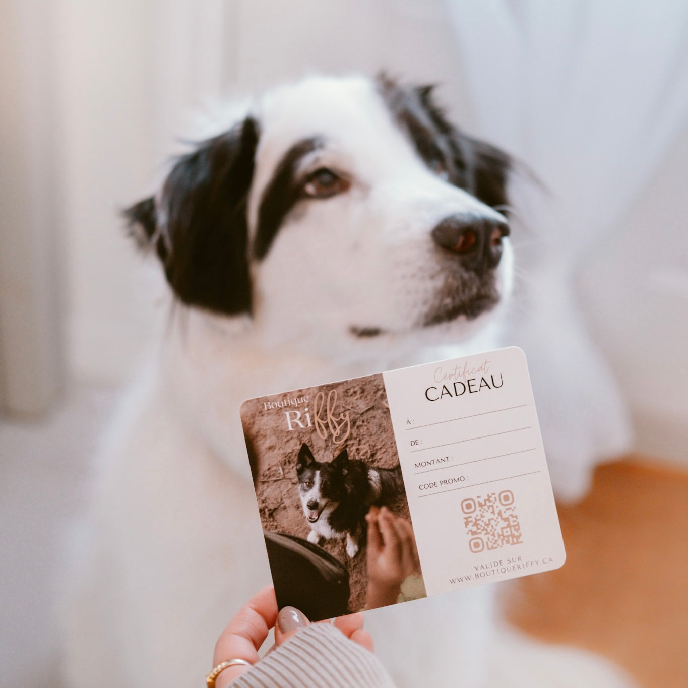 Carte-cadeau