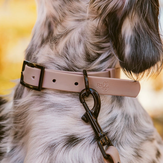 Collier Riffy | Beige