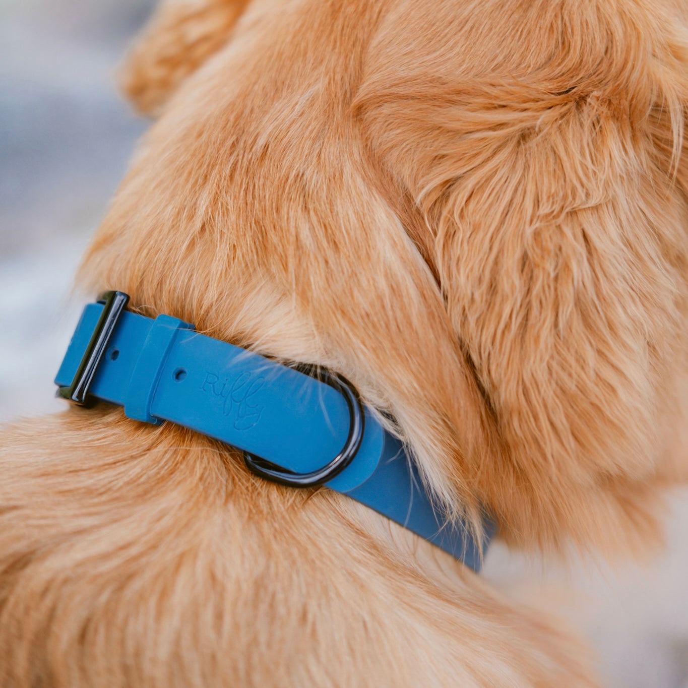 Collier Riffy | Bleu