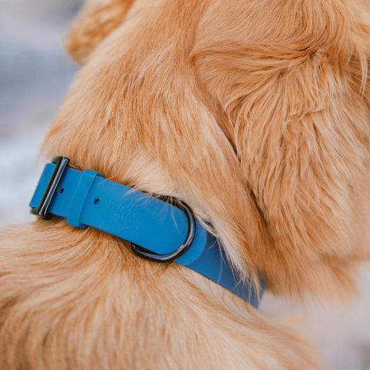 Collier Riffy | Bleu