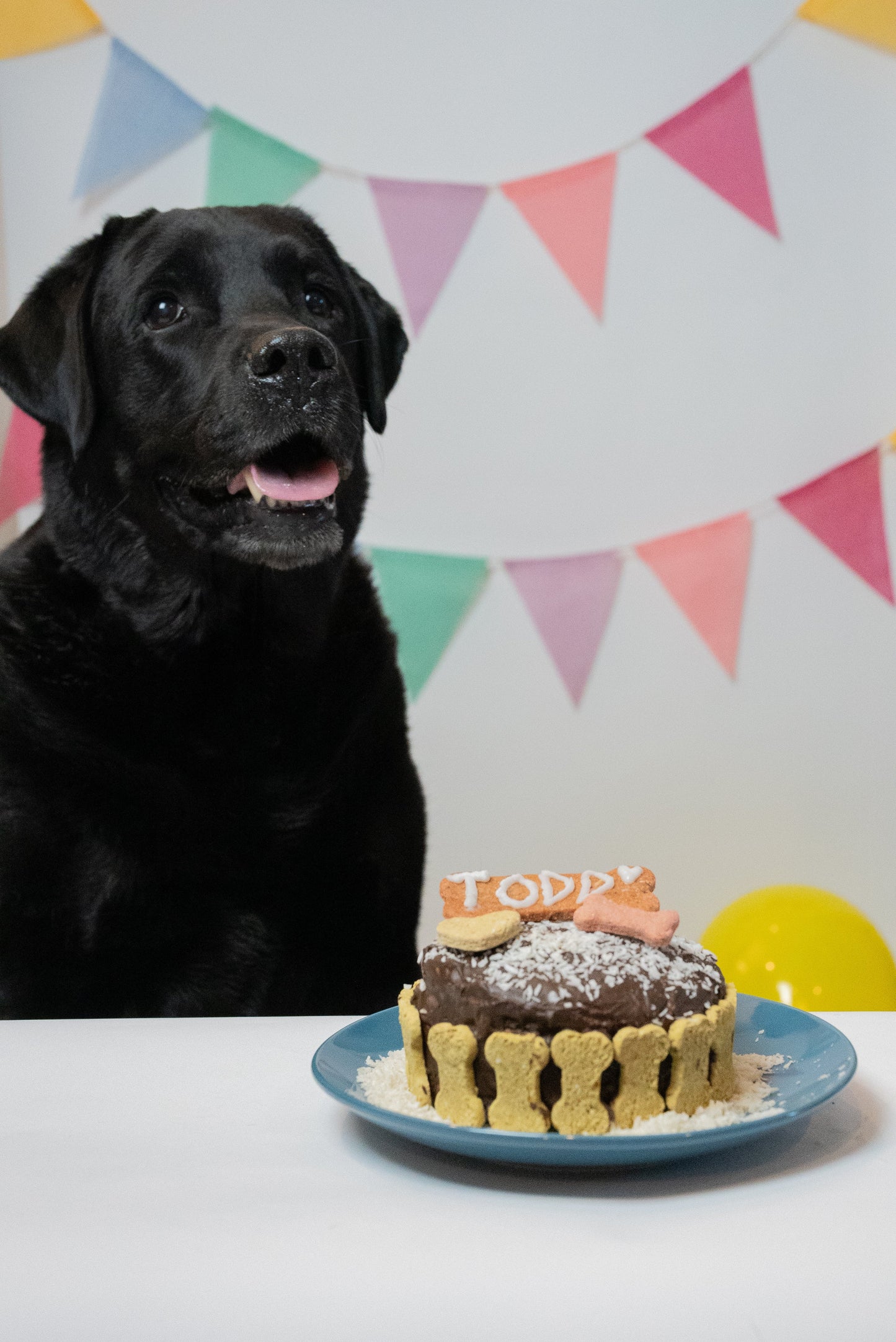 Mélange à gâteau d’anniversaire