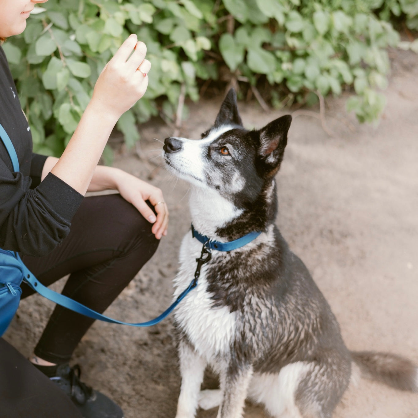 Duo promenade Riffy | Bleu