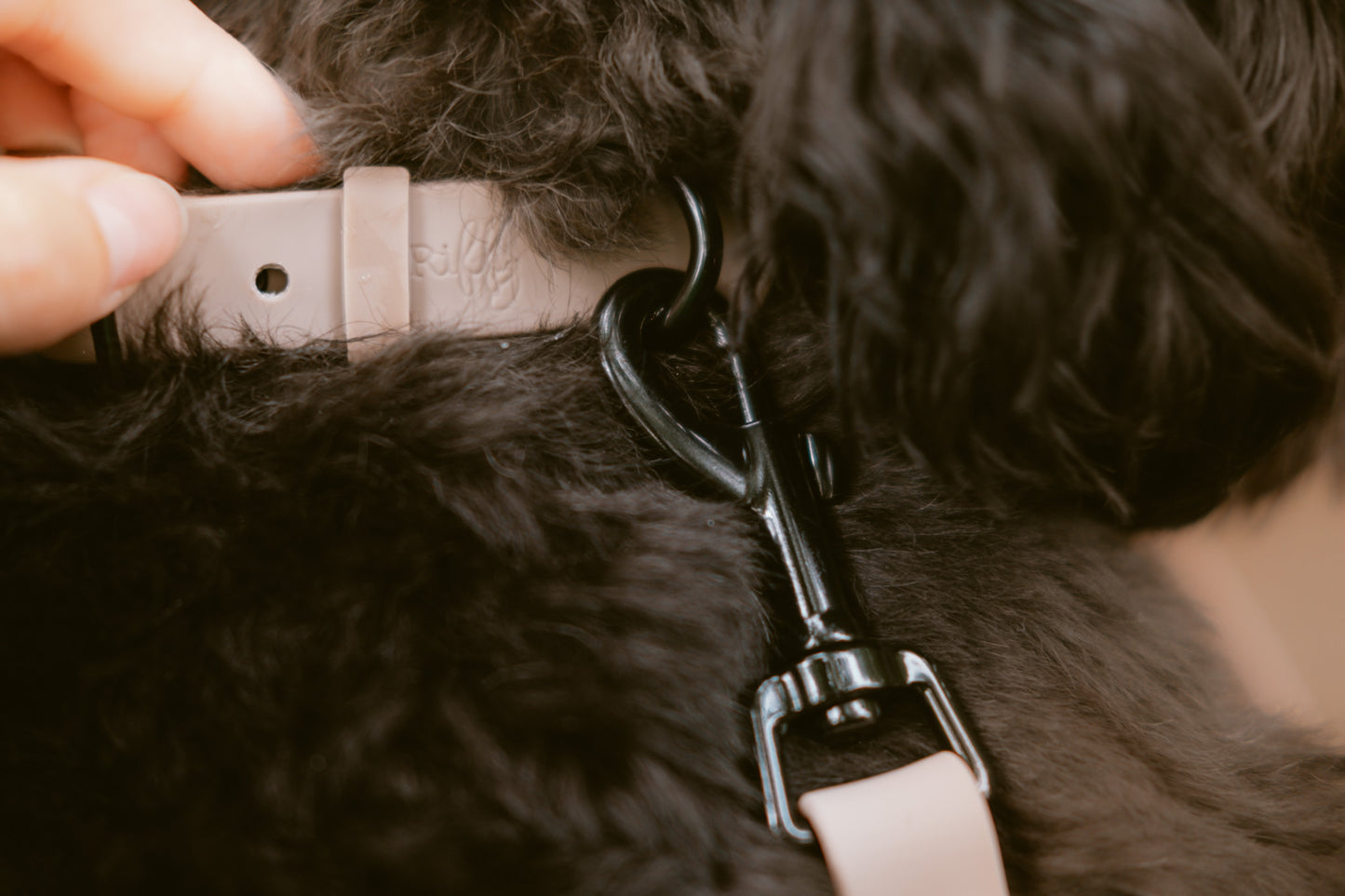 Collier Riffy | Beige