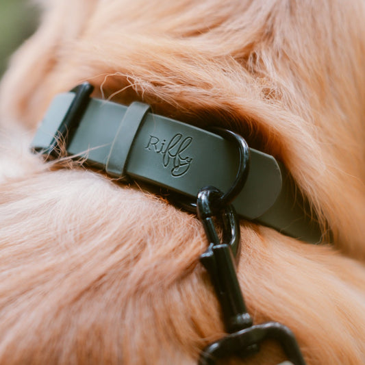 Collier Riffy | Kaki