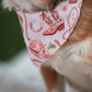 Foulard Riffy | Rose