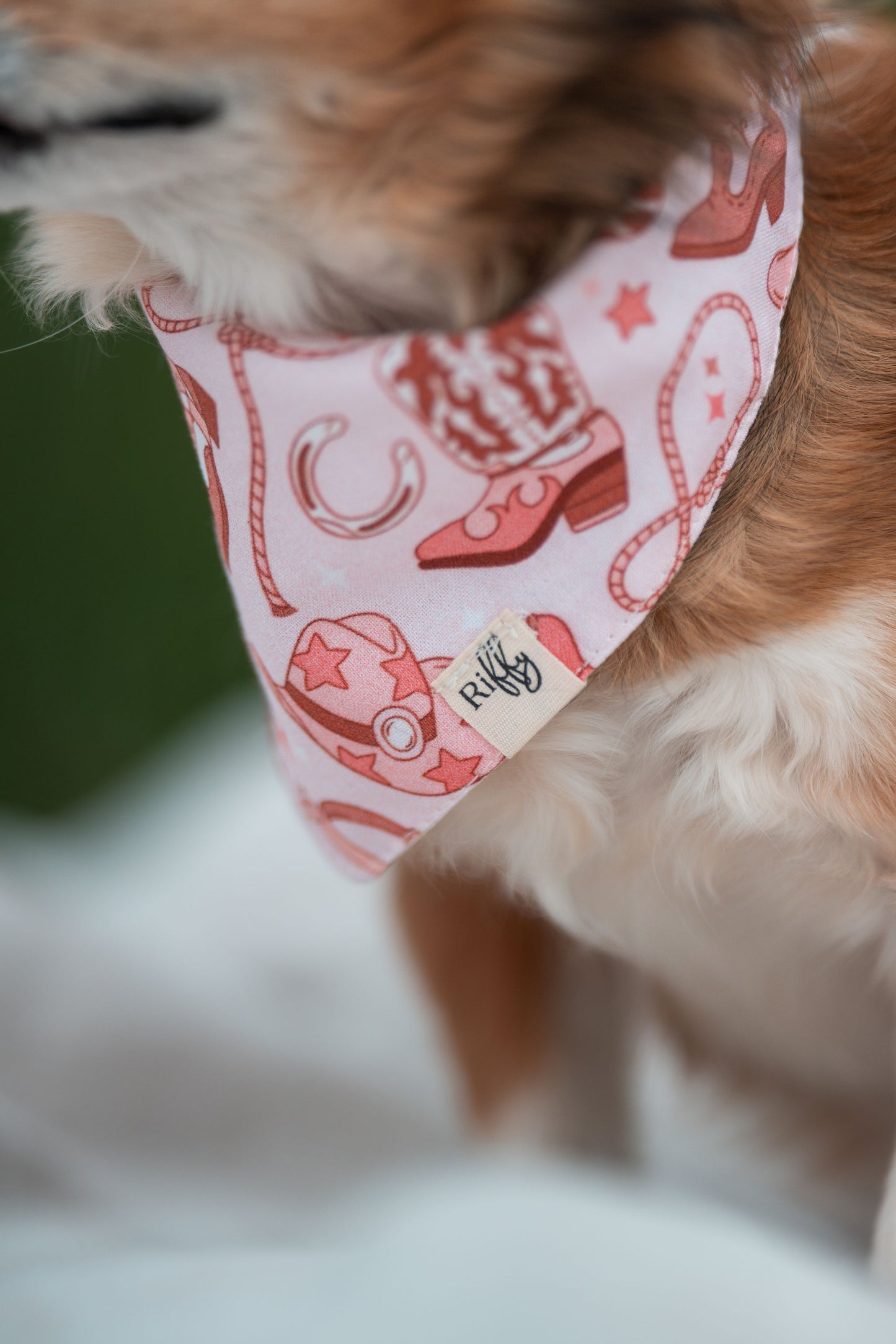 Foulard Riffy | Rose