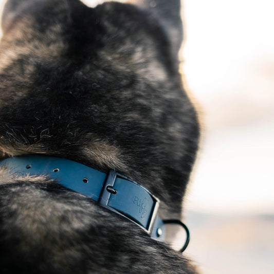 Collier Riffy | Bleu