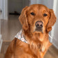 Foulard Riffy | Yeehaw