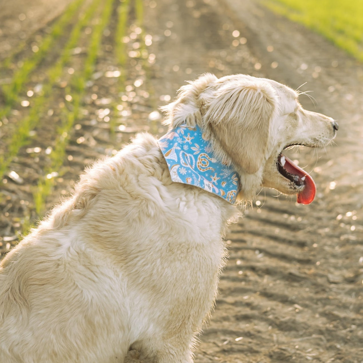Riffy Bandana Blue